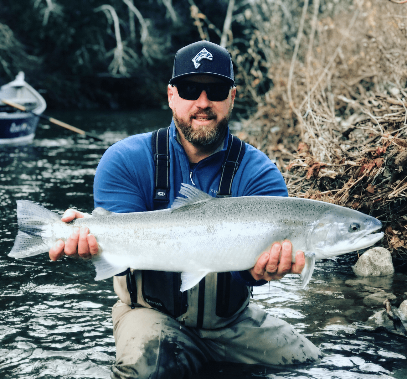 An angler kneeling in a river holding a bright wild steelhead, a drift boat moored behind him